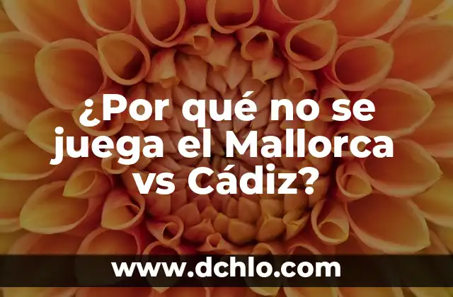 Resultado del Bayern de Munich vs Real Madrid: Análisis y Highlights 5 ¿Por qué no se juega el Mallorca vs Cádiz?
