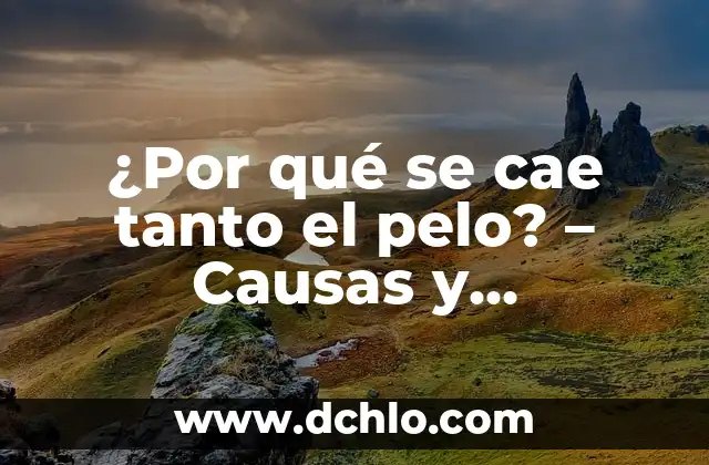 ¿Para qué sirve la linaza en el cabello? Aumenta el crecimiento y la salud capilar 8 ¿Por qué se cae tanto el pelo? – Causas y soluciones para la pérdida de cabello