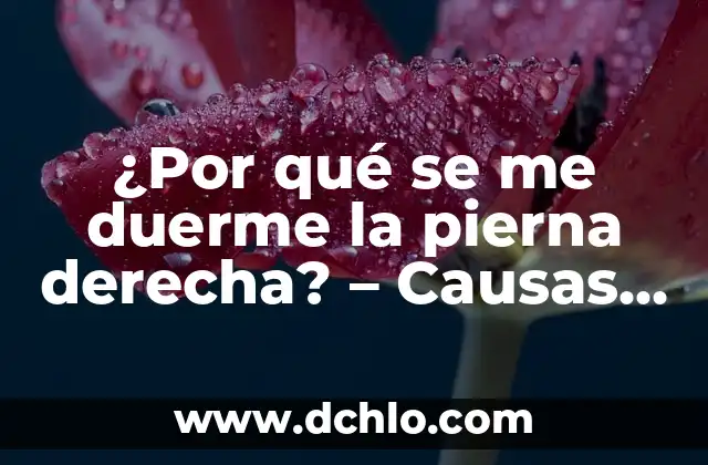 Dolor Intenso en el Dedo Gordo de la Mano Derecha: Causas y Tratamientos 5 ¿Por qué se me duerme la pierna derecha? – Causas y Soluciones
