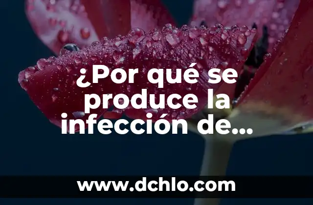 Qué puedo tomar para la infección urinaria: Tratamiento y Prevención 4 ¿Por qué se produce la infección de orina?
