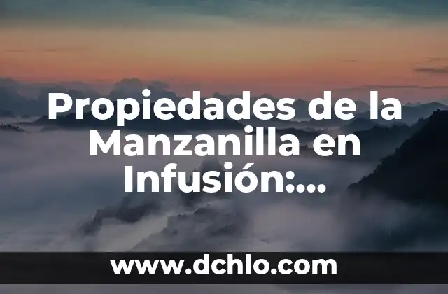 La Vitamina B12 para qué sirve: Descubre sus beneficios y importancia 3 Propiedades de la Manzanilla en Infusión: Beneficios y Usos