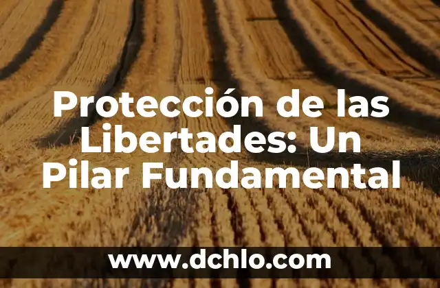 El Significado de Esencialmente: Un Concepto Fundamental 4 Protección de las Libertades: Un Pilar Fundamental
