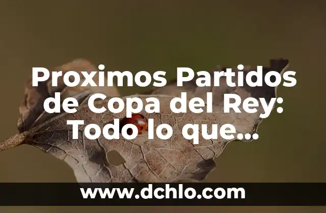 Dónde Ver Final Copa del Rey en Vivo y en Directo 4 Proximos Partidos de Copa del Rey: Todo lo que Necesitas Saber