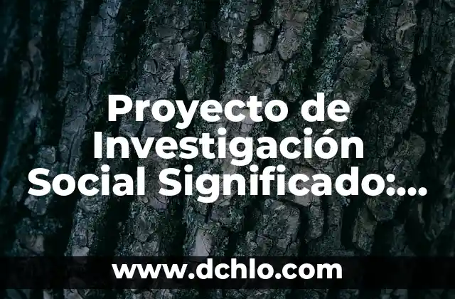 Proyecto de Investigación Social Significado: Una Guía Integral
