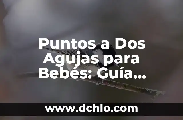 Cuánto Pesa un Bebé de 2 Meses: Guía para Padres Primerizos 4 Puntos a Dos Agujas para Bebés: Guía Completa para Padres Primerizos