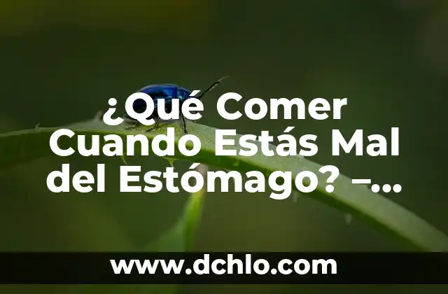 FAO Significado de Estas Siglas 4 ¿Qué Comer Cuando Estás Mal del Estómago? – Guía Completa