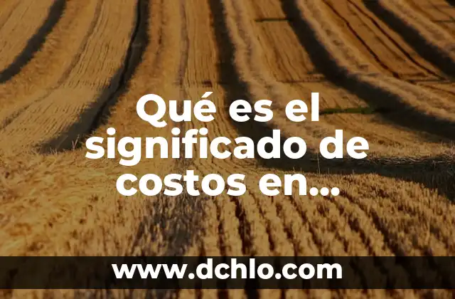Qué es el significado de costos en informática
