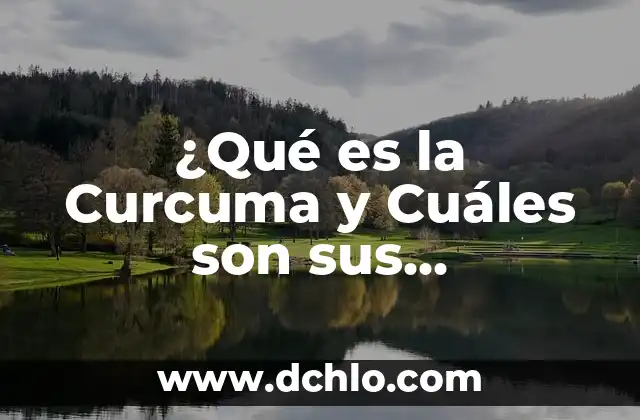 ¿Qué es la Curcuma y Para Qué se Usa? - Propiedades y Beneficios 7 ¿Qué es la Curcuma y Cuáles son sus Beneficios?
