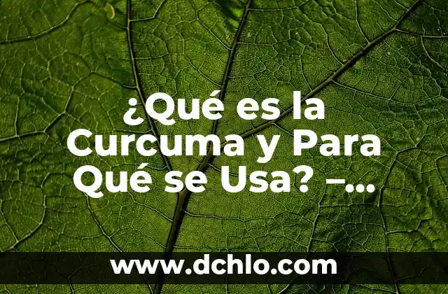 Propiedades de la Curcuma en Raíz: Beneficios y Usos Naturales 7 ¿Qué es la Curcuma y Para Qué se Usa? – Propiedades y Beneficios