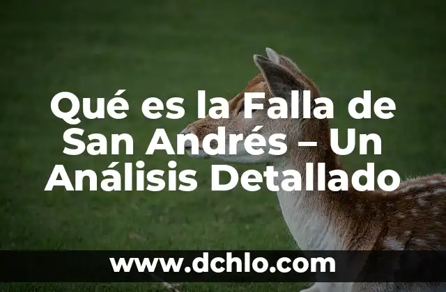 Pythium en Helechos: Un Análisis Detallado 5 Qué es la Falla de San Andrés – Un Análisis Detallado
