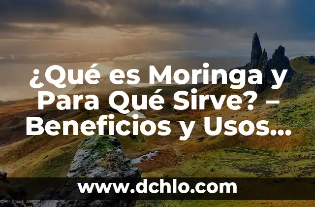 ¿Para qué sirve la semilla de chia? - Beneficios y usos de la semilla de chia 8 ¿Qué es Moringa y Para Qué Sirve? – Beneficios y Usos de la Moringa