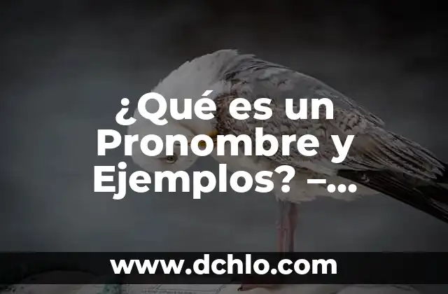 De hecho, sí: significado y uso correcto 5 ¿Qué es un Pronombre y Ejemplos? – Definición y Uso Correcto
