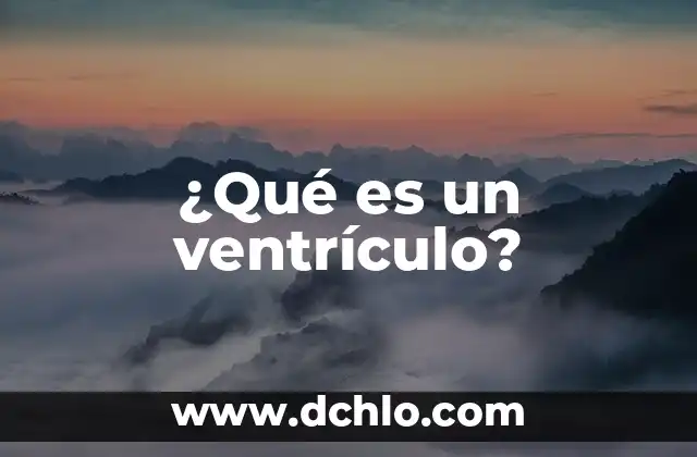 El Significado del Ventrículo Izquierdo 4 ¿Qué es un ventrículo?