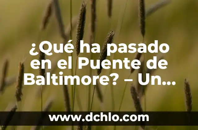 La Comunicación de la Ciencia: Un Puente entre el Conocimiento y la Sociedad 7 ¿Qué ha pasado en el Puente de Baltimore? – Un análisis detallado del incidente