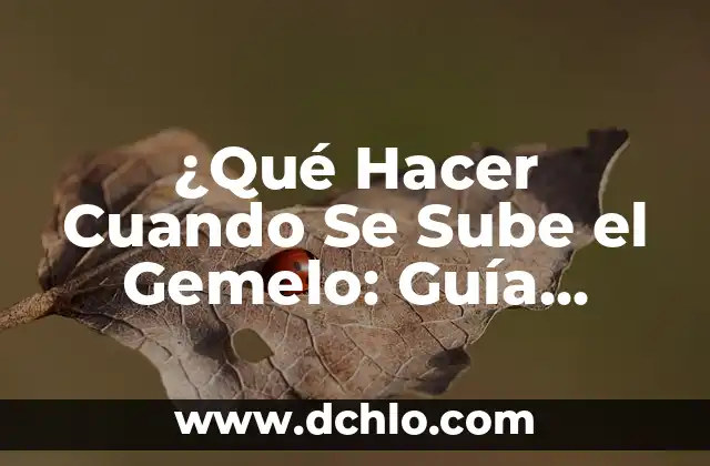 Ansiedad de amor significado 4 ¿Qué Hacer Cuando Se Sube el Gemelo: Guía Completa para Manejar el Estrés y la Ansiedad