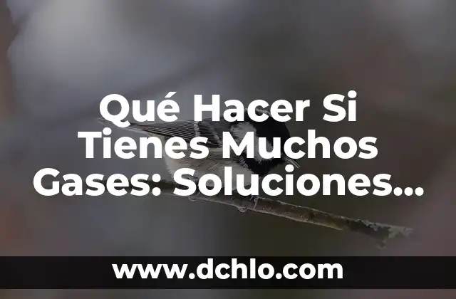 Cómo Hacer Listas Desplegables en Excel: Guía Completa 6 Qué Hacer Si Tienes Muchos Gases: Soluciones y Remedios Naturales