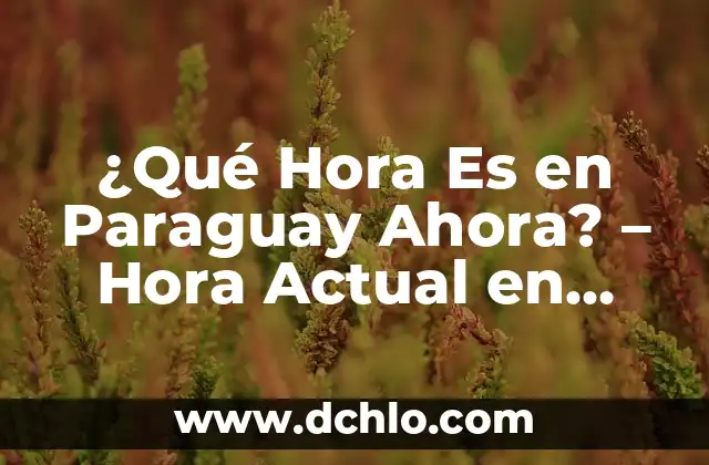 ¿Qué Hora Es Ahora en Perú? - Horario Actual en Perú 5 ¿Qué Hora Es en Paraguay Ahora? – Hora Actual en Paraguay