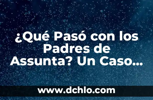 Puntos a Dos Agujas para Bebés: Guía Completa para Padres Primerizos 4 ¿Qué Pasó con los Padres de Assunta? Un Caso de Misterio y Drama Familiar