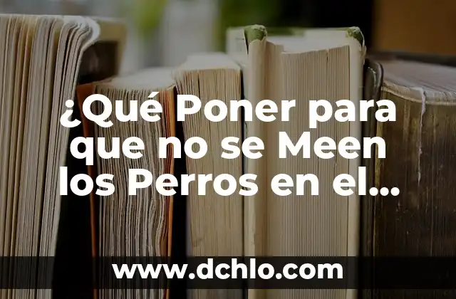 Cómo Poner Mi Cuenta Privada en Facebook: Una Guía Detallada 5 ¿Qué Poner para que no se Meen los Perros en el Jardín?: Soluciones Efectivas