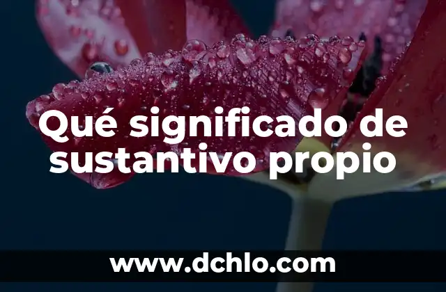 ¿Cuál es el significado de sustantivo en el contexto de la UNAM? 4 Qué significado de sustantivo propio