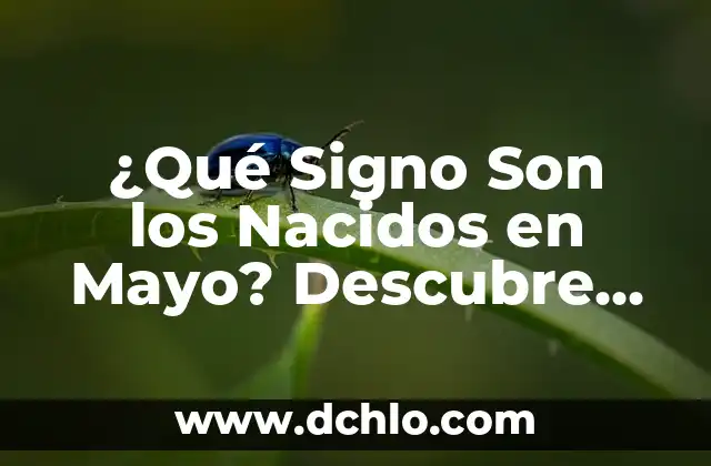 Remedios Caseros para el Estreñimiento en Bebés Recién Nacidos 5 ¿Qué Signo Son los Nacidos en Mayo? Descubre Tu Signo del Zodiaco