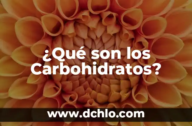 ¿Qué alimentos son ricos en hierro? 4 ¿Qué son los Carbohidratos?