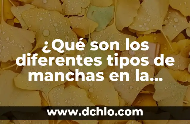 Tipos de Refranes y su Significado 8 ¿Qué son los diferentes tipos de manchas en la piel?