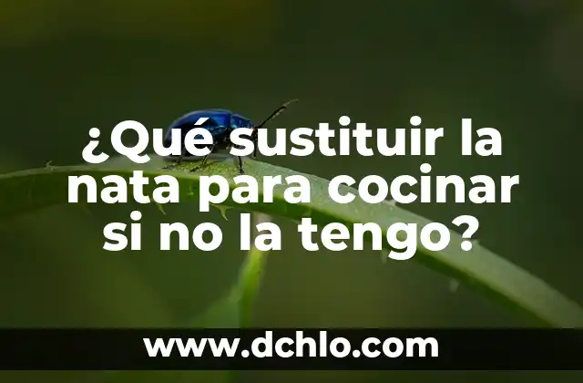 Cómo Cocinar un Pollo Relleno Ya Preparado: Guía Completa 8 ¿Qué sustituir la nata para cocinar si no la tengo?