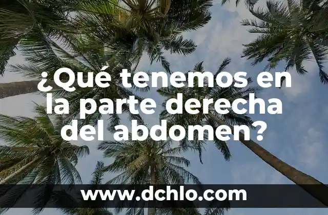 Dolor Intenso en el Dedo Gordo de la Mano Derecha: Causas y Tratamientos 4 ¿Qué tenemos en la parte derecha del abdomen?