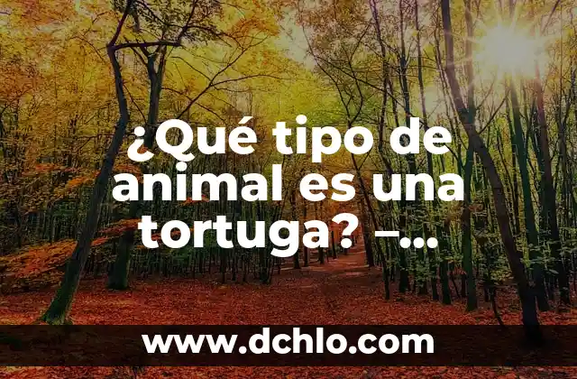 ¿Qué canción sonaba cuando naciste en España? Descubre la respuesta 3 ¿Qué tipo de animal es una tortuga? – Descubre la respuesta