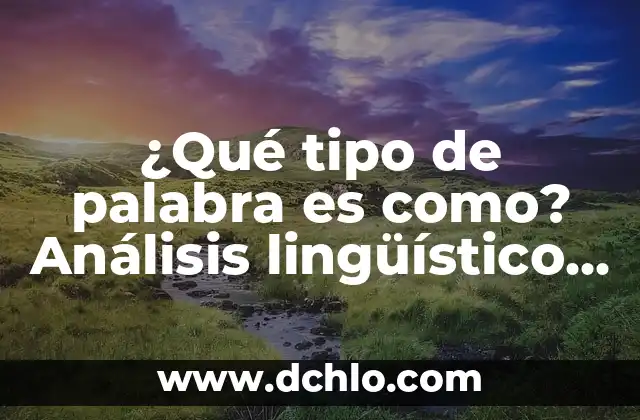 Soñar con gatos que te atacan: ¿Qué significa este tipo de sueño? 8 ¿Qué tipo de palabra es como? Análisis lingüístico y semántico