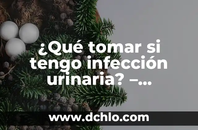 Qué puedo tomar para la infección urinaria: Tratamiento y Prevención 7 ¿Qué tomar si tengo infección urinaria? – Tratamiento y Remedios Naturales
