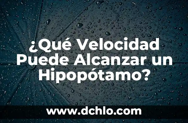 El Sangrado de Implantación: ¿Puede Ocurrir Después de un Retraso? 3 ¿Qué Velocidad Puede Alcanzar un Hipopótamo?
