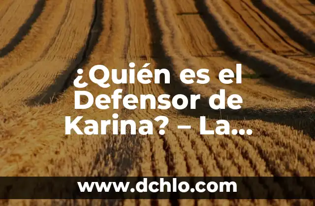 ¿Qué es la Sensación de Tener una Bola en el Estómago y Cómo Aliviarla? 6 ¿Quién es el Defensor de Karina? – La Verdadera Identidad Revelada