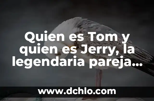 Cómo hacer una foto cartoon 4 Quien es Tom y quien es Jerry, la legendaria pareja de cartoon