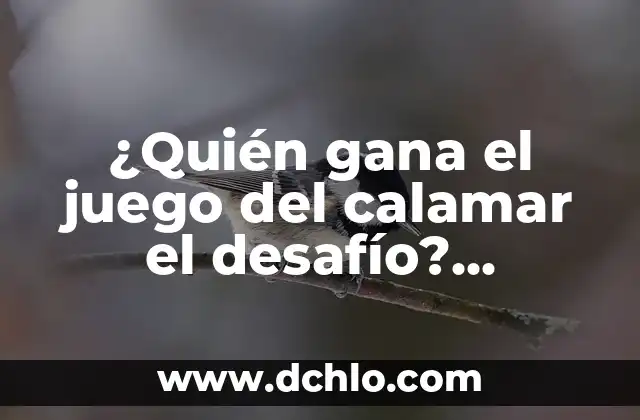 El Juego del Calamar: El Desafío Filmaffinity - Análisis y Crítica del Fenómeno Coreano 4 ¿Quién gana el juego del calamar el desafío? Análisis y estrategias para triunfar
