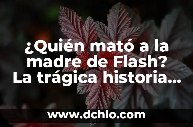 Vegvísir: Descubre el Simbolismo detrás de sus Signos 4 ¿Quién mató a la madre de Flash? La trágica historia detrás de la creación de Barry Allen