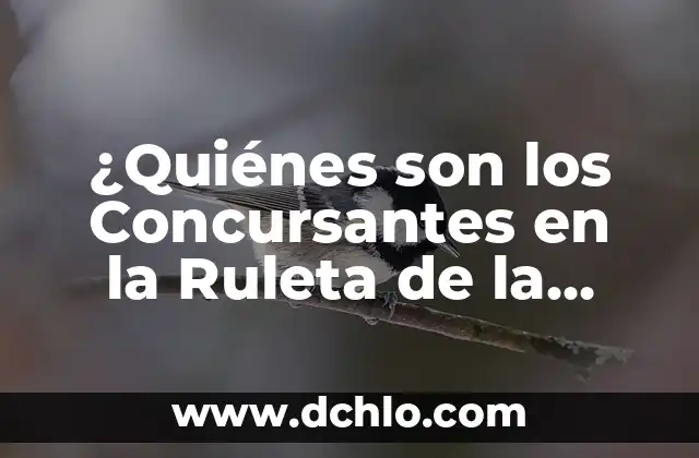 Quienes se Clasifican para la Champions League: Guía Completa y Actualizada 5 ¿Quiénes son los Concursantes en la Ruleta de la Suerte? – Información y Detalles