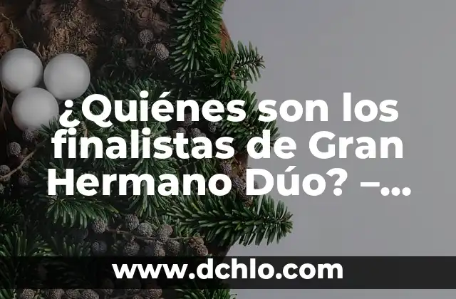 Quienes se Clasifican para la Champions League: Guía Completa y Actualizada 7 ¿Quiénes son los finalistas de Gran Hermano Dúo? – Conoce a los concursantes más populares
