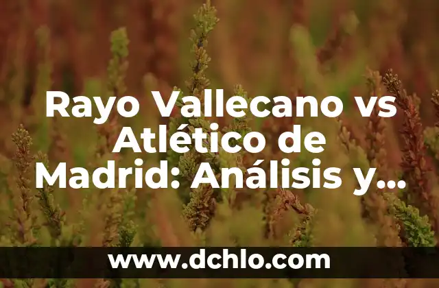 Estadísticas del Cádiz Club de Fútbol contra Rayo Vallecano en la Liga Española 3 Rayo Vallecano vs Atlético de Madrid: Análisis y Pronósticos del Partido de Fútbol