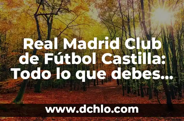 Significado de Fermín: Todo lo que debes saber 3 Real Madrid Club de Fútbol Castilla: Todo lo que debes saber