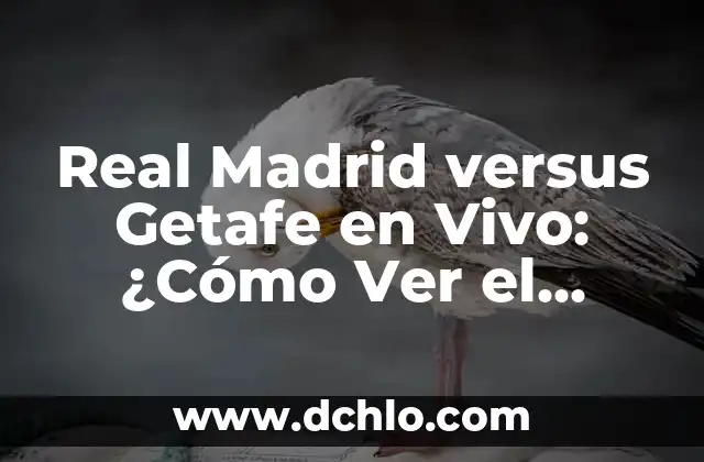 Cómo Ver el Historial de Google: Guía Completa y Actualizada 7 Real Madrid versus Getafe en Vivo: ¿Cómo Ver el Partido de Fútbol en Línea?