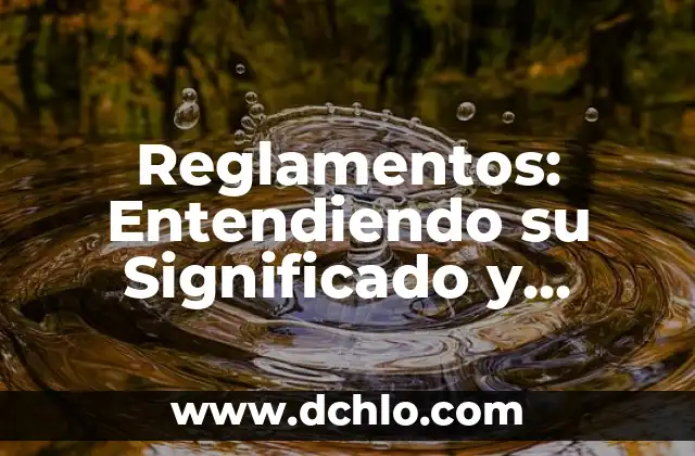 Entendiendo Socioeconomico: Una Guía Integral 6 Reglamentos: Entendiendo su Significado y Aplicación