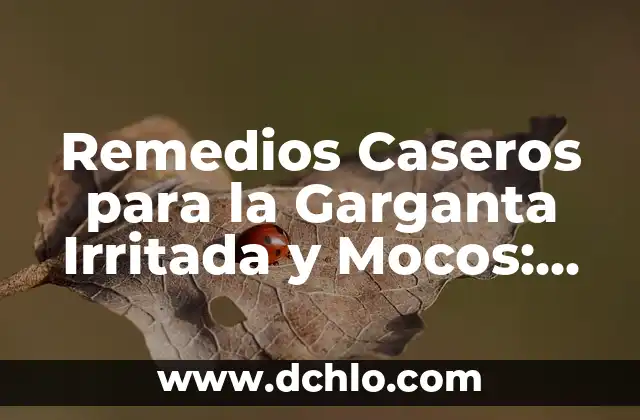 Cómo Eliminar los Mocos de la Garganta de Forma Natural y Efectiva 5 Remedios Caseros para la Garganta Irritada y Mocos: Soluciones Naturales y Efectivas