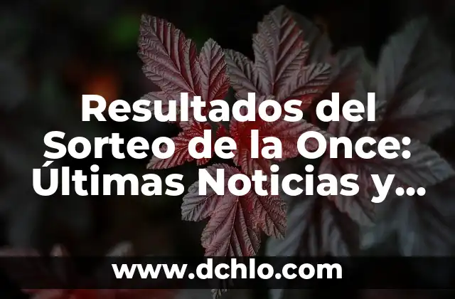 Resultados del Sorteo de la Once: Últimas Noticias y Análisis