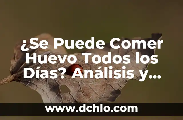 Días Fértiles de una Mujer para Quedar Embarazada: Guía Completa 6 ¿Se Puede Comer Huevo Todos los Días? Análisis y Conclusión