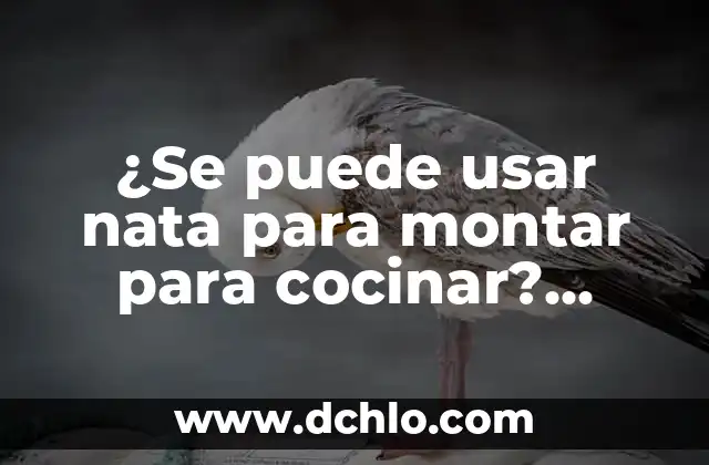 Cómo Cocinar un Pollo Relleno Ya Preparado: Guía Completa 4 ¿Se puede usar nata para montar para cocinar? ¡Descubre los secretos de la nata para cocinar!
