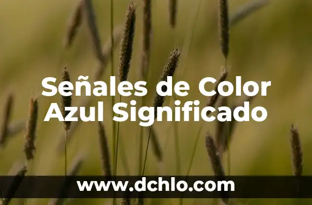 Fuego Azul: Un Enfoque Simbólico hacia el Dinero 4 Señales de Color Azul Significado