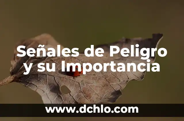 Señales de Tránsito México Significado 6 Señales de Peligro y su Importancia