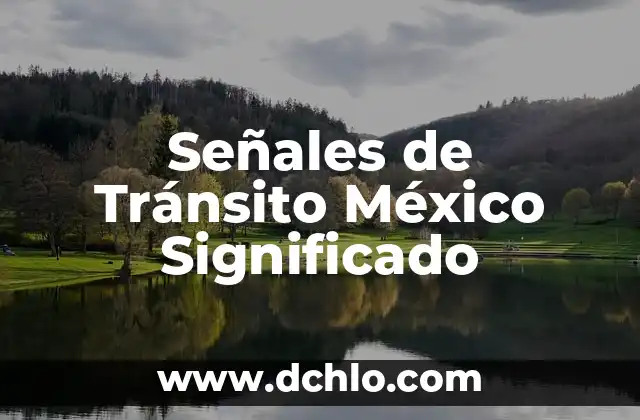El Mundo de las Señales de Segunda Barra 7 Señales de Tránsito México Significado